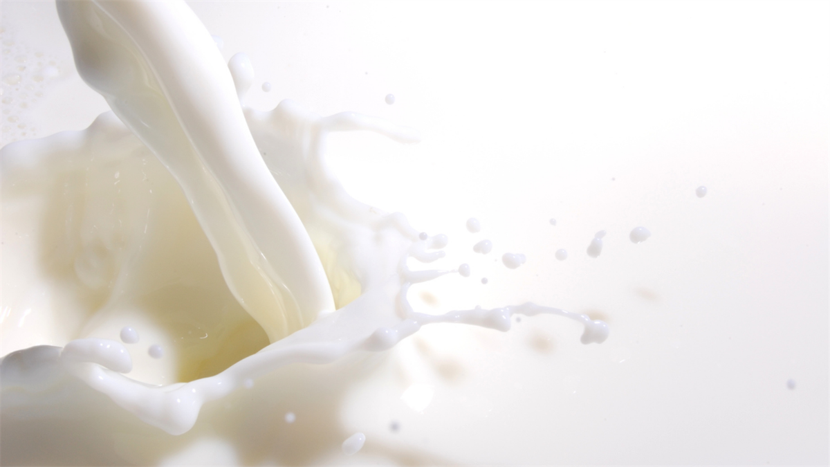 RABOBANK In aumento la produzione mondiale di latte