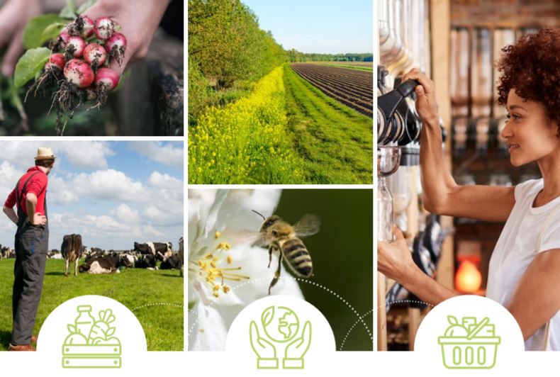 UE: presentato Piano d’azione per lo sviluppo della produzione bio