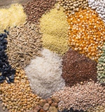 CEREALI E PROTEICHE : produzioni, commercio estero e prezzi -  Marzo 2018