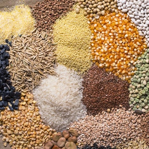 CEREALI E PROTEICHE : produzioni, commercio estero e prezzi -  Marzo 2018