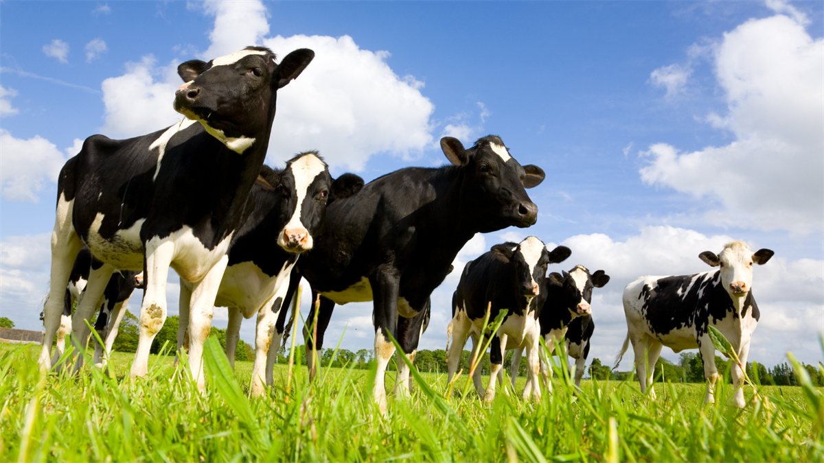 Arla Foods, i Big Data accelerano la riduzione delle emissioni