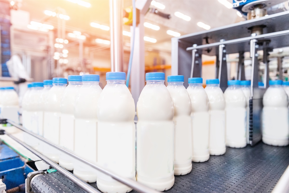 NEI PROSSIMI CINQUE ANNI PREVISTA AL RIALZO LA PRODUZIONE DI LATTE (+10/15%), L’ITALIA SARÀ VICINA ALL’AUTOSUFFICIENZA, BOOM EXPORT, +25%