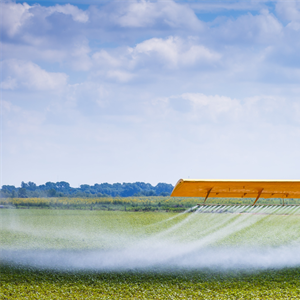 Le nuove regole europee per ridurre l'uso di pesticidi