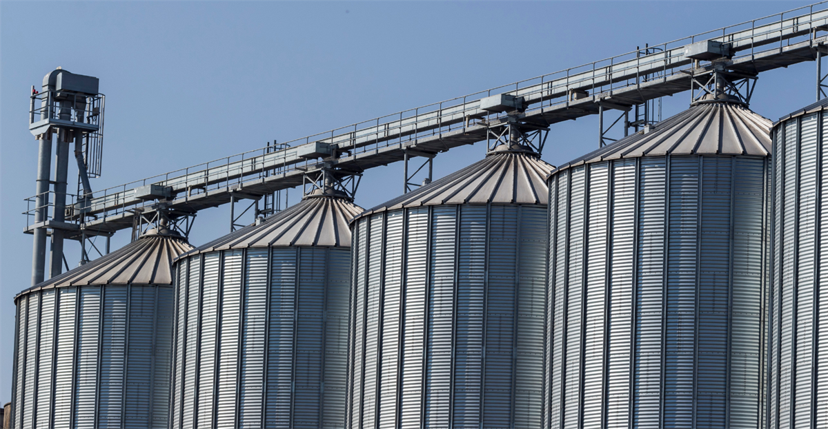 Cereali a uso zootecnico: in crescita le scorte finali di mais per la stagione 2022/2023