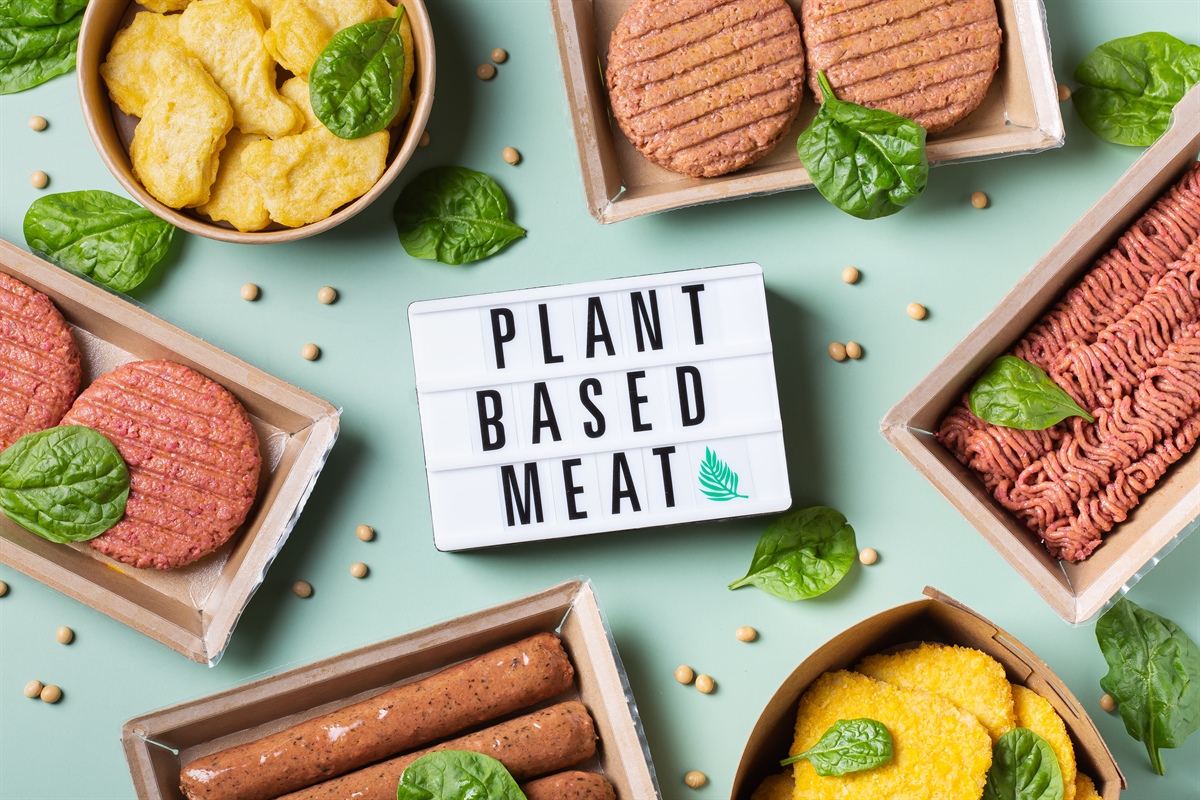 La Francia introduce restrizioni per il commercio di "carne" di origine vegetale