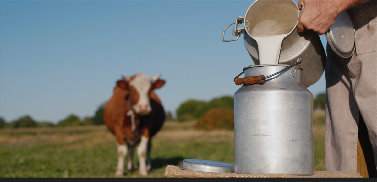 Pubblicate le Istruzioni Operative di AGEA per le Dichiarazioni Obbligatorie di fine periodo 2021/2022 per il settore lattiero-caseario