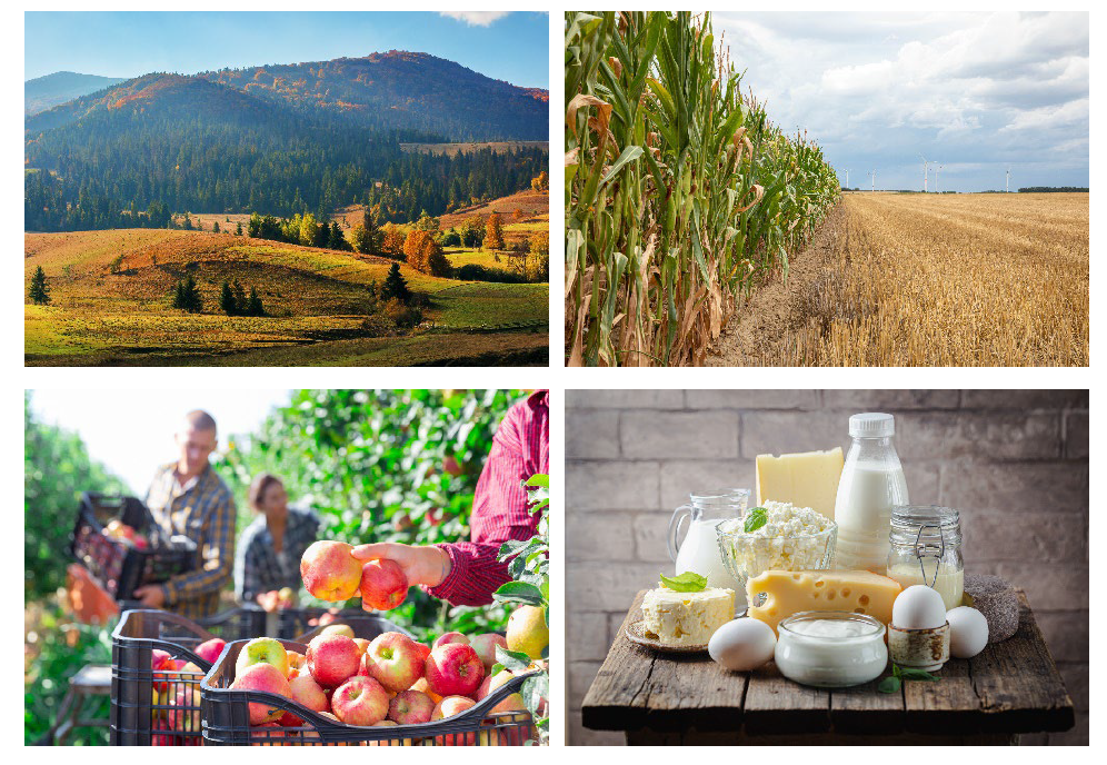 PROSPETTIVE MERCATI AGRICOLI EUROPEI 2022: pubblicato il short term outlook