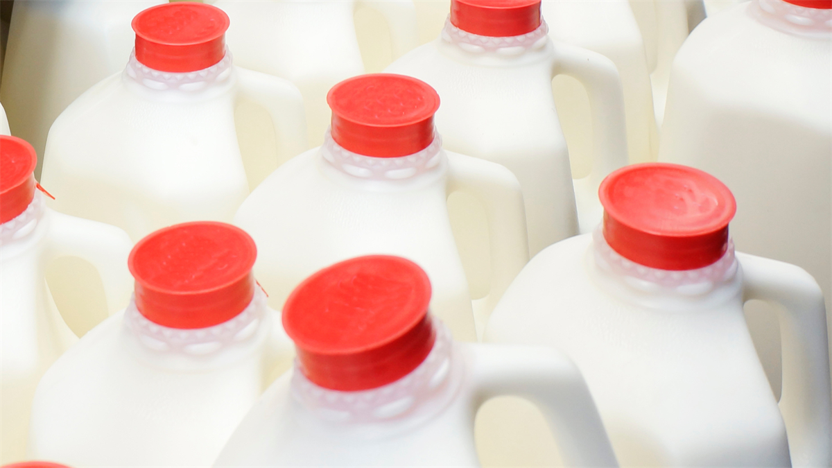 Prodotti lattiero caseari e alternative a base vegetali, i cinque nuovi trend